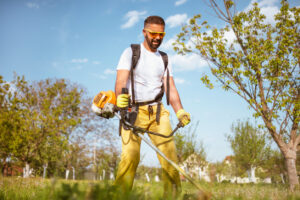 A man mows the thick grass with a gasoline trimmer