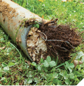 A clogged sewer pipe