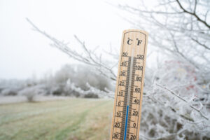 Thermometer with frost covered tree, cold frosty weather forecast in winter, measure the temperature, snow