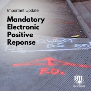 Graphic displaying Mandatory Electronic Positive Response